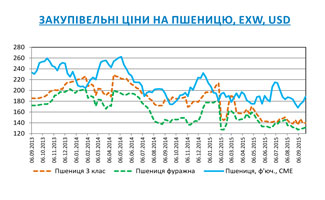 Огляд ринків зернових та олійних культур станом на 25 вересня 2015 року