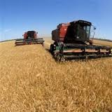 Украинские аграрии зерно урожай АПК Украинские аграрии зерно урожай АПК