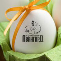 Авангард расширяет рынки сбыта яичной продукции Авангард расширяет рынки сбыта яичной продукции