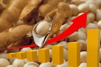 Названы наиболее рентабельные культуры Названы наиболее рентабельные культуры