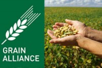 Grain Alliance намерена расширить земельный банк Grain Alliance намерена расширить земельный банк
