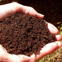 Світовий рекорд із внесення органічних добрив Світовий рекорд із внесення органічних добрив