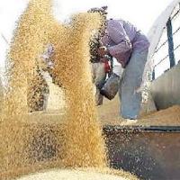 Україна експортувала понад 28 млн тонн зерна Україна експортувала понад 28 млн тонн зерна
