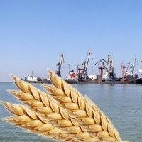 Морские порты Украины перевалили более 13 млн т зерновых Морские порты Украины перевалили более 13 млн т зерновых