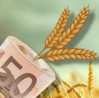 Крупный зернотрейдер будет инвестировать в Украину Крупный зернотрейдер будет инвестировать в Украину