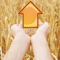 Україна може удвічі збільшити експорт сільськогосподарської продукції — Мінагрополітики Україна може удвічі збільшити експорт сільськогосподарської продукції — Мінагрополітики