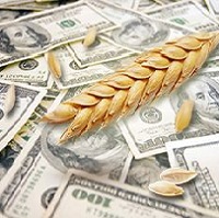 На 1 млрд доларів впаде експортна виручка після скасування спецрежиму оподаткування агросектору На 1 млрд доларів впаде експортна виручка після скасування спецрежиму оподаткування агросектору