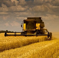 Україна зібрала вже 2 мільйони тонн зернових нового врожаю Україна зібрала вже 2 мільйони тонн зернових нового врожаю
