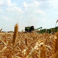 Украина и Бельгия планируют новые аграрные проекты Украина и Бельгия планируют новые аграрные проекты