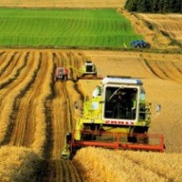 Виробництво с/г продукції подорожчало на 37% Виробництво с/г продукції подорожчало на 37%