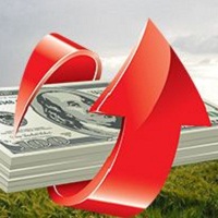 В агросекторе упрощено 50% процедур В агросекторе упрощено 50% процедур