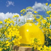 Виробництво ріпакової олії зросло на 81% Виробництво ріпакової олії зросло на 81%