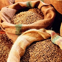 Агровиробники стримують продажі зернових Агровиробники стримують продажі зернових