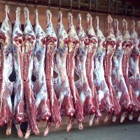 УКАБ новини виробництво м'яса ВРХ замороженого яловичина УКАБ новини виробництво м'яса ВРХ замороженого яловичина