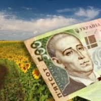 Agro business – who pays taxes
