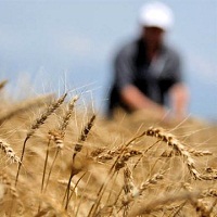 Рівень тінізації АПК знизився на 6 % Рівень тінізації АПК знизився на 6 %