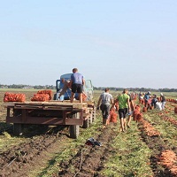 23% growth of wages in agriculture
