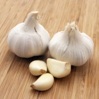 garlic export import China UCAB