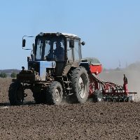 Вартість посівної зросла на 14% Вартість посівної зросла на 14%