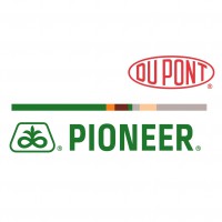 Dupont Pioneer Dupont Pioneer