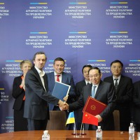 Китай Україна ринок яловичини Китай Україна ринок яловичини