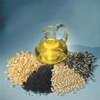 олійні культури олійні культури