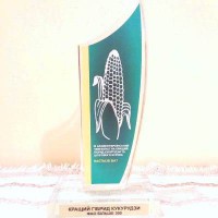 чемпіонат гібридів кукурудзи та цукрових буряків чемпіонат гібридів кукурудзи та цукрових буряків