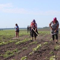 сезонні роботи АПК