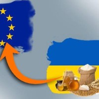 експорт квоти ЄС експорт квоти ЄС