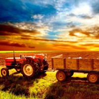 АПК України: 5 змін за 10 років АПК України: 5 змін за 10 років