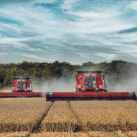 Import of grain harvesters increased by 2.5 times