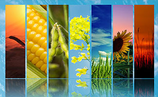Agri-food Spectrum of Ukraine AgriSurvey 