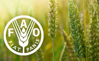 FAO фітосанітарні аспекти захист рослин карантин основна мета даного посібника FAO фітосанітарні аспекти захист рослин карантин основна мета даного посібника