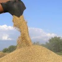 Аграрії закликають народних депутатів прийняти законопроект № 2436а для дерегуляції сектору та покращення інвестиційного клімату в Україні Аграрії закликають народних депутатів прийняти законопроект № 2436а для дерегуляції сектору та покращення інвестиційного клімату в Україні