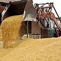 Переведення частини сільгосппідприємств на загальну систему оподаткування зменшить урожай зерна на третину Переведення частини сільгосппідприємств на загальну систему оподаткування зменшить урожай зерна на третину