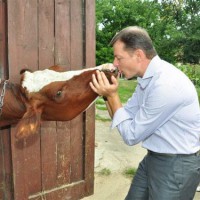 УКАБ Ляшко інвестиції 5300 УКАБ Ляшко інвестиції 5300