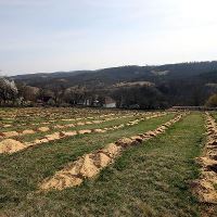 4355 Тарас Висоцький УКАБ 4355 Тарас Висоцький УКАБ