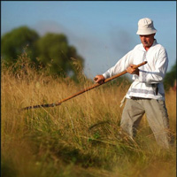 agriculture agriculture