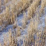 weather December winter crops Ukrainian Hydrometeorological Center weather December winter crops Ukrainian Hydrometeorological Center