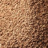 Ukraine exports grain forecast harvest Ukraine exports grain forecast harvest