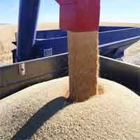 Export agricultural products Export agricultural products