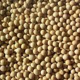 Soy export market US Soy export market US