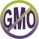 GMO GMO