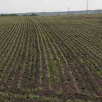 Increasing of profitability in agricultural industry in 2014 is not expected - UCAB Increasing of profitability in agricultural industry in 2014 is not expected - UCAB