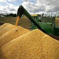 Purchasing prices grain have beaten historical record Purchasing prices grain have beaten historical record