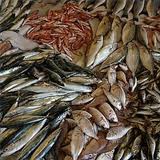 FAO: More people than ever before rely on fisheries and aquaculture for food FAO: More people than ever before rely on fisheries and aquaculture for food
