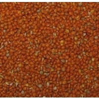 AgriFood Spectrum: TOP 15 companies produce 30% of sorghum in Ukraine AgriFood Spectrum: TOP 15 companies produce 30% of sorghum in Ukraine