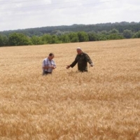 Cancelation of tax benefits to touch almost all agricultural business in Ukraine, to stop sector development, say experts Cancelation of tax benefits to touch almost all agricultural business in Ukraine, to stop sector development, say experts