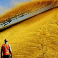 Shvaika: Now we can talk about positive results of this year's Ukrainian crop harvesting Shvaika: Now we can talk about positive results of this year's Ukrainian crop harvesting