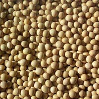 UCAB forecasts increasing of gross harvest of soybean by 40% and exports – by 51% UCAB forecasts increasing of gross harvest of soybean by 40% and exports – by 51%